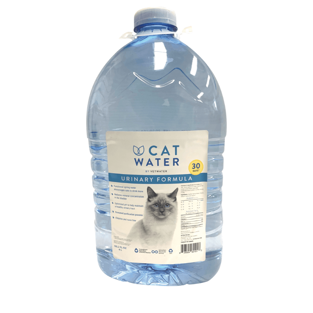 CATWATER pH Balanced Urinary Formula By Vetwater For Cats 4L - Sparklet