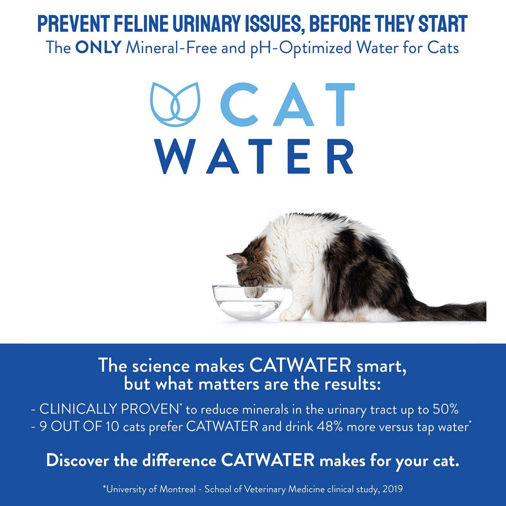 CATWATER pH Balanced Urinary Formula By Vetwater For Cats 4L - Sparklet