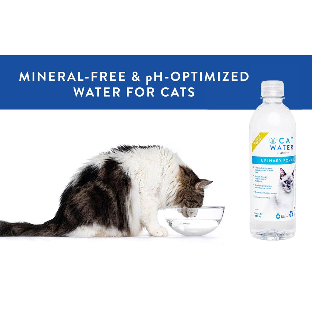 CATWATER pH Balanced Urinary Formula By Vetwater For Cats 4L - Sparklet