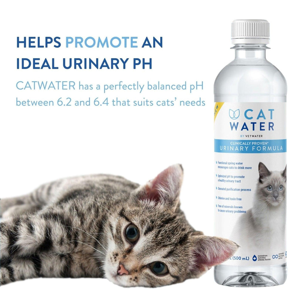 CATWATER pH Balanced Urinary Formula By Vetwater For Cats 4L - Sparklet