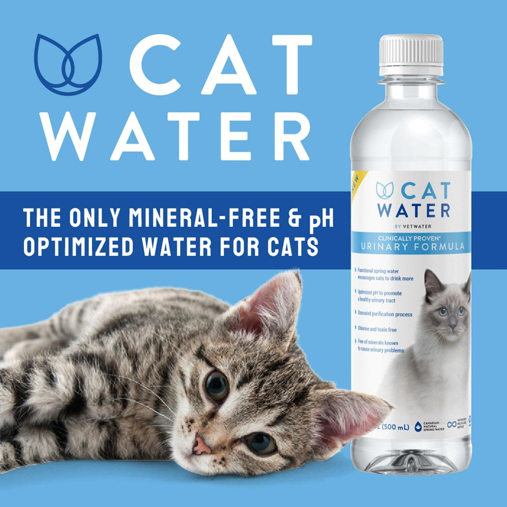 CATWATER pH Balanced Urinary Formula By Vetwater For Cats 4L - Sparklet