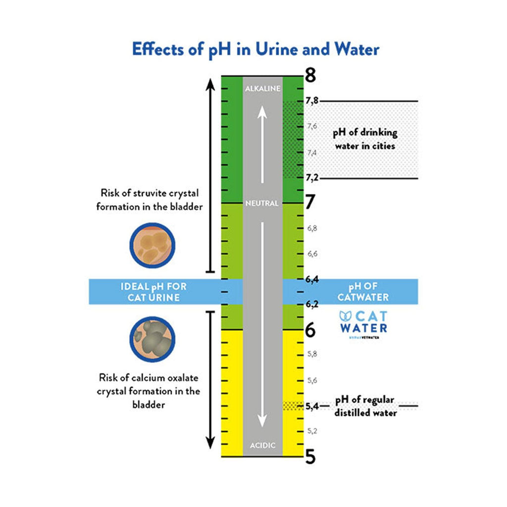 CATWATER pH Balanced Urinary Formula By Vetwater For Cats 500ml - Sparklet