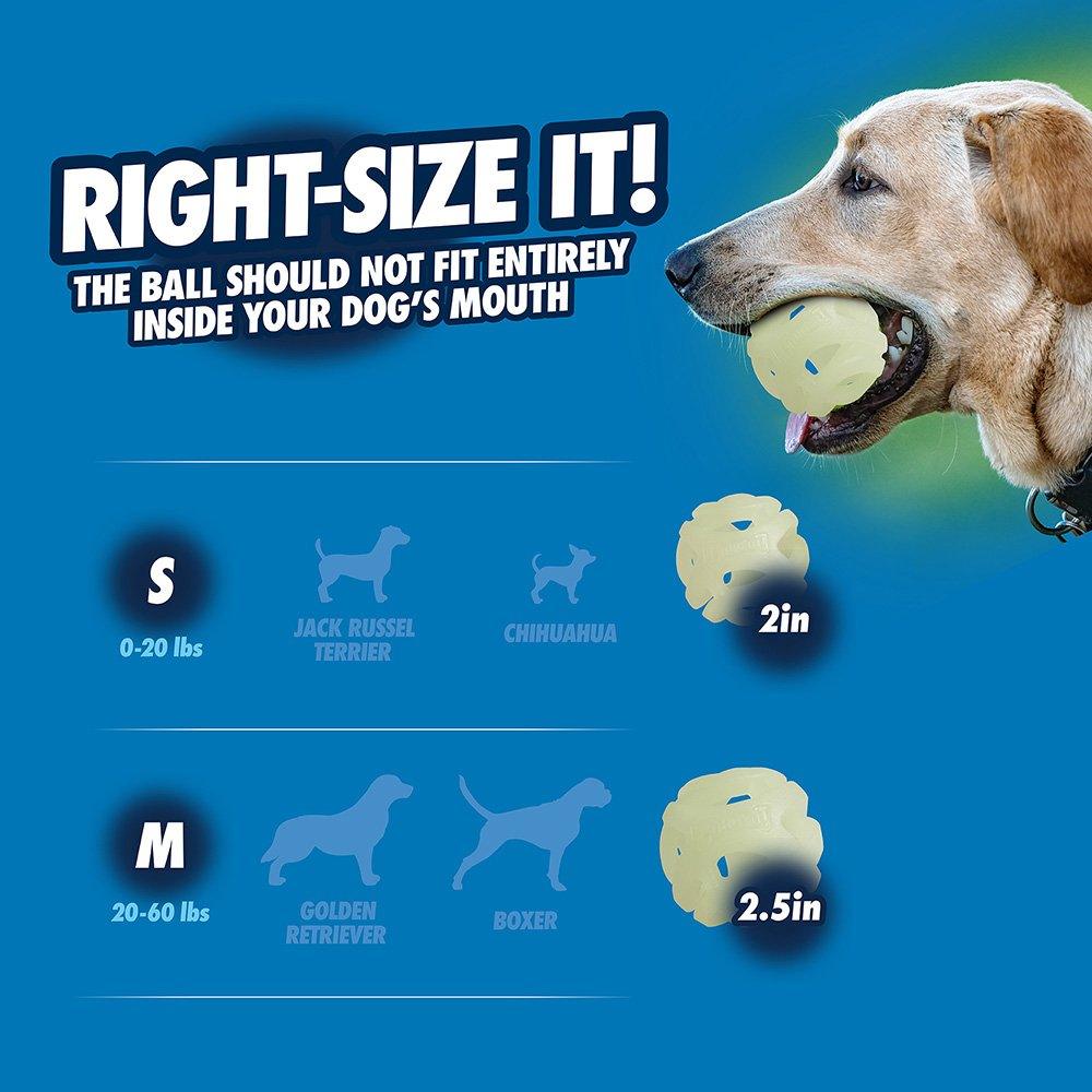 CHUCKIT! Max Glow Air Fetch For Dogs Medium 6cm (1 Pack) - Sparklet