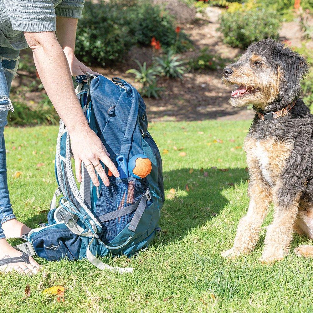 CHUCKIT! Mini Fetch & Fold 18cm Launcher 30cm For Dogs (Medium 6cm Balls) - Sparklet