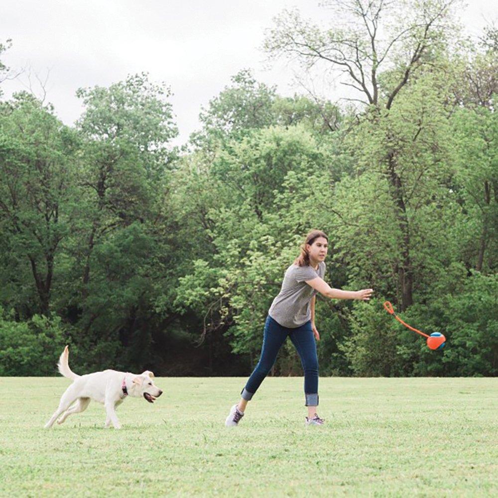 CHUCKIT! Rope Fetch Dog Toy - Sparklet