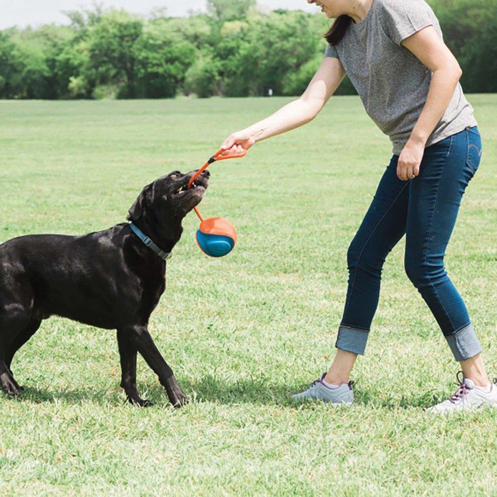 CHUCKIT! Rope Fetch Dog Toy - Sparklet