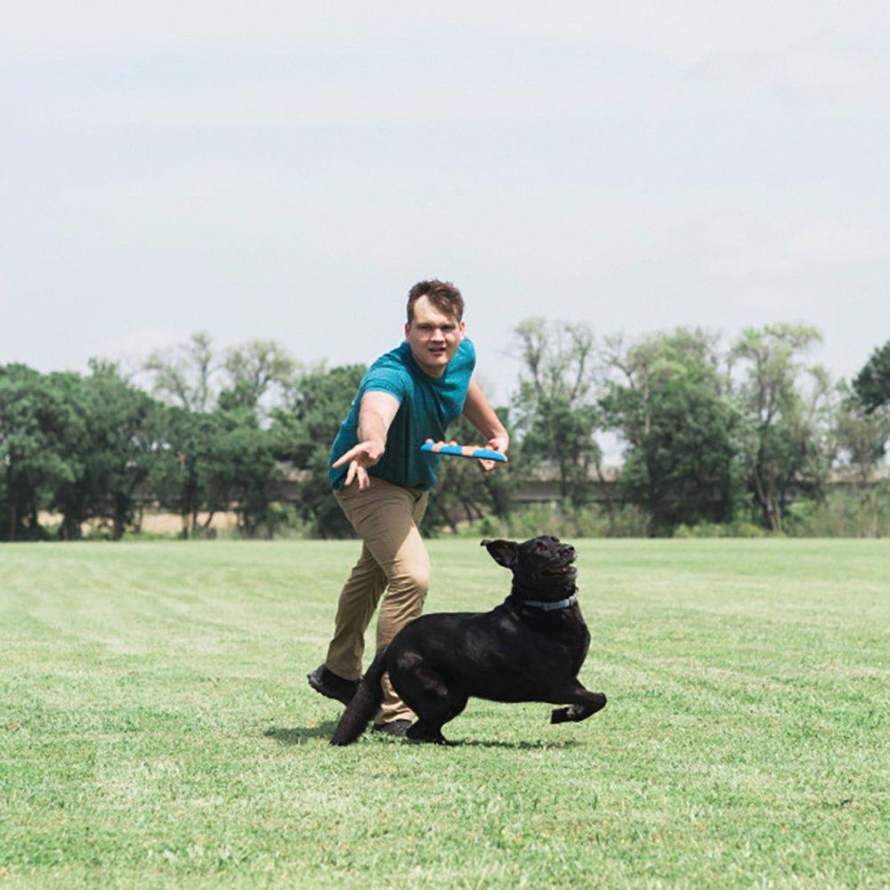 CHUCKIT! Whistle Flight Natural Rubber Frisbee Flyer For Dogs 28cm - Sparklet