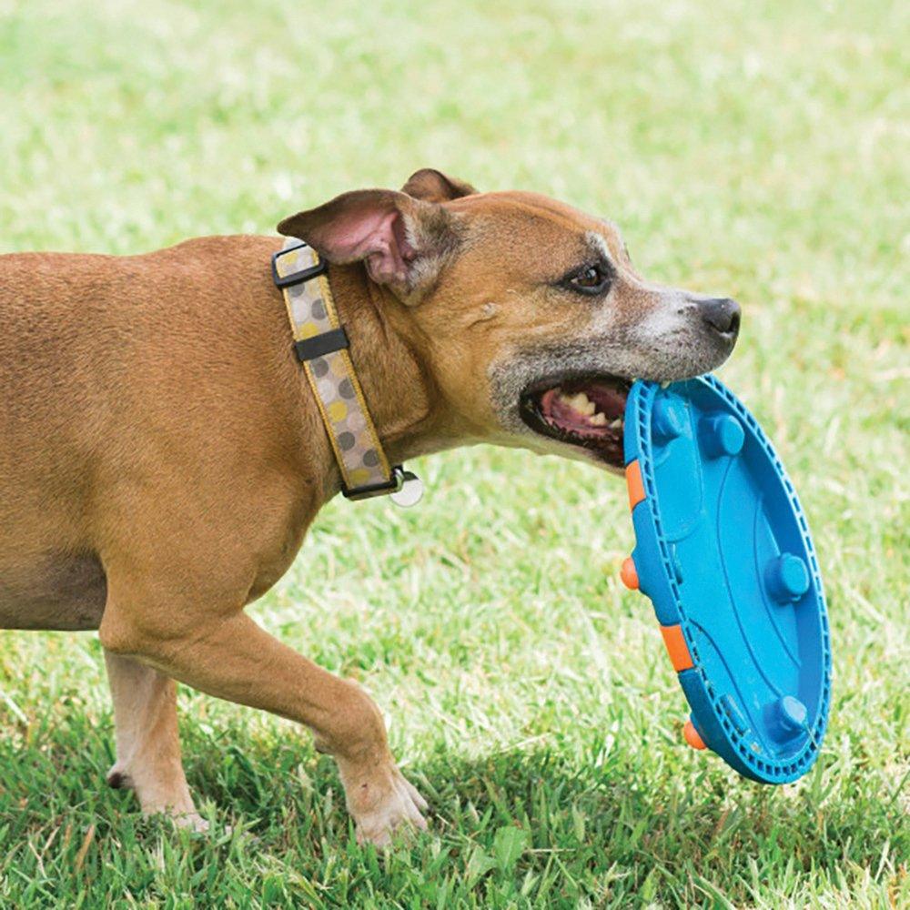 CHUCKIT! Whistle Flight Natural Rubber Frisbee Flyer For Dogs 28cm - Sparklet