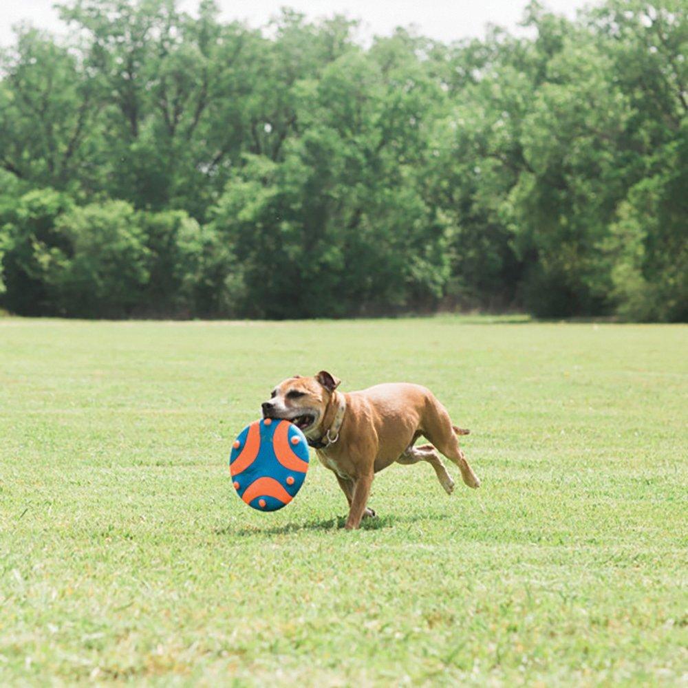 CHUCKIT! Whistle Flight Natural Rubber Frisbee Flyer For Dogs 28cm - Sparklet