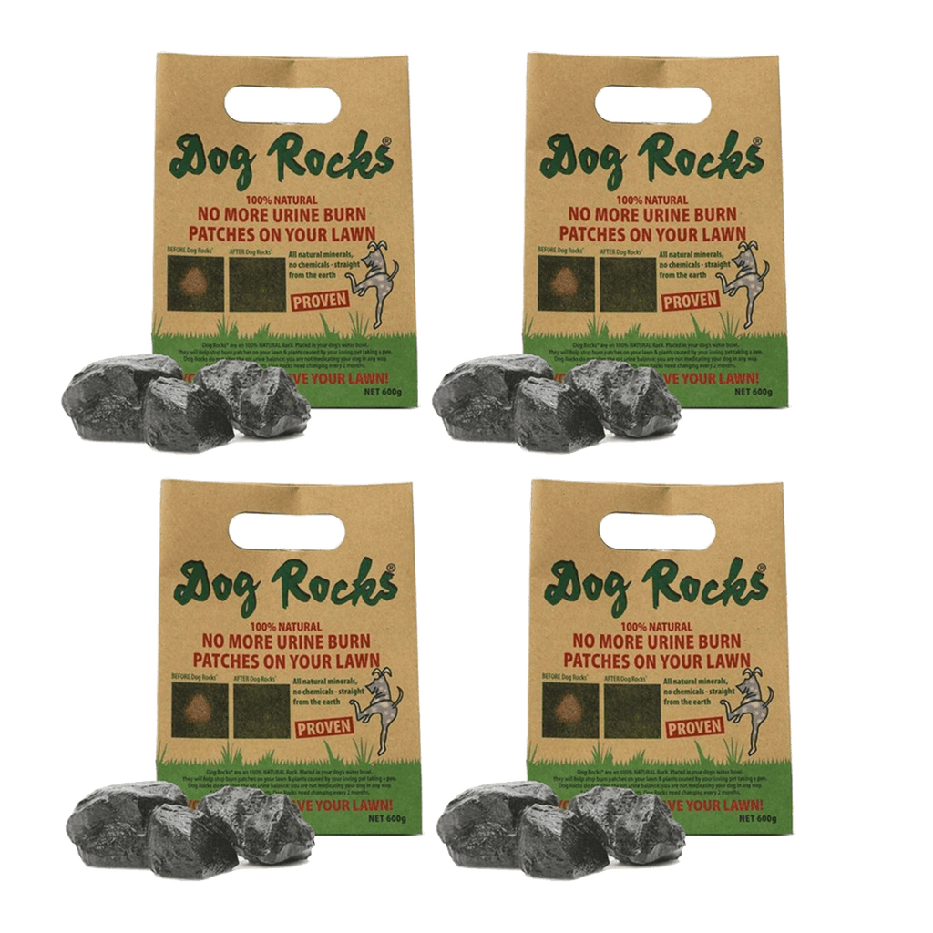 Dog Rocks Bulk Pack 600G X 4 - Sparklet