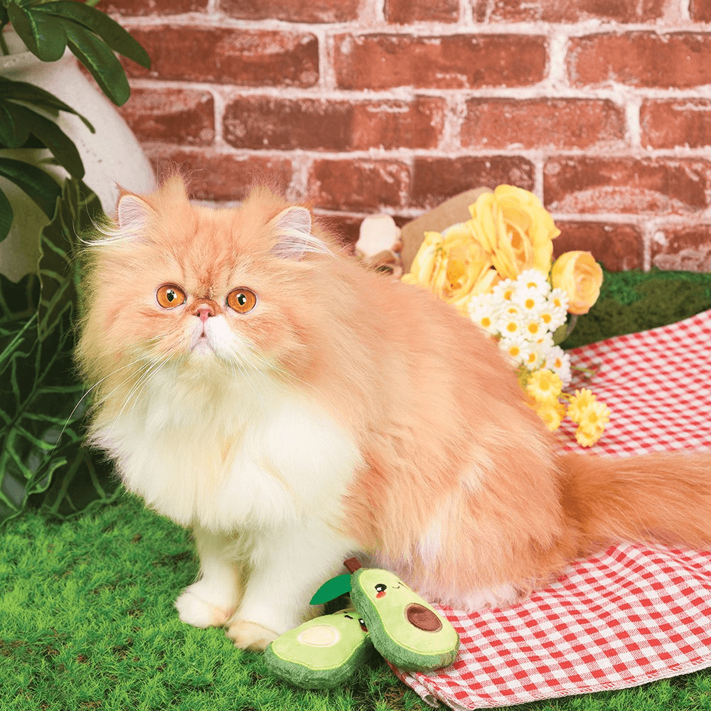 HUGSMART Meow Buddies Crazy Catcher Avocado Cat Toy - Sparklet