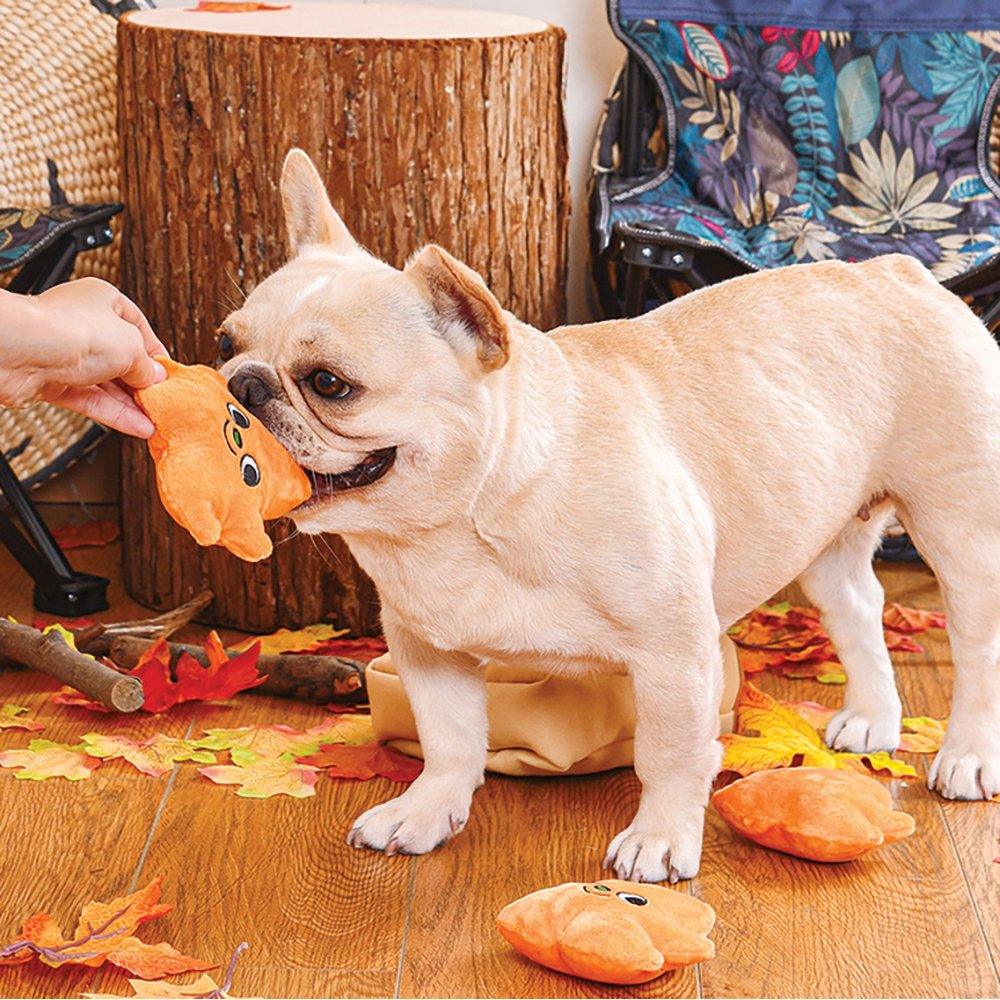 HUGSMART Puzzle Hunter Dog Toy Autumn Tailz Leaf Bag - Sparklet