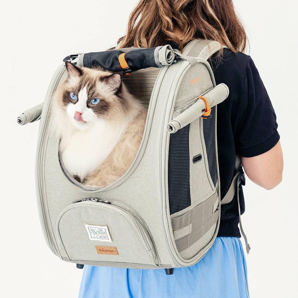 IBIYAYA Adventure Cat & Small Dog Carrier Backpack (Grey-Green) - Sparklet