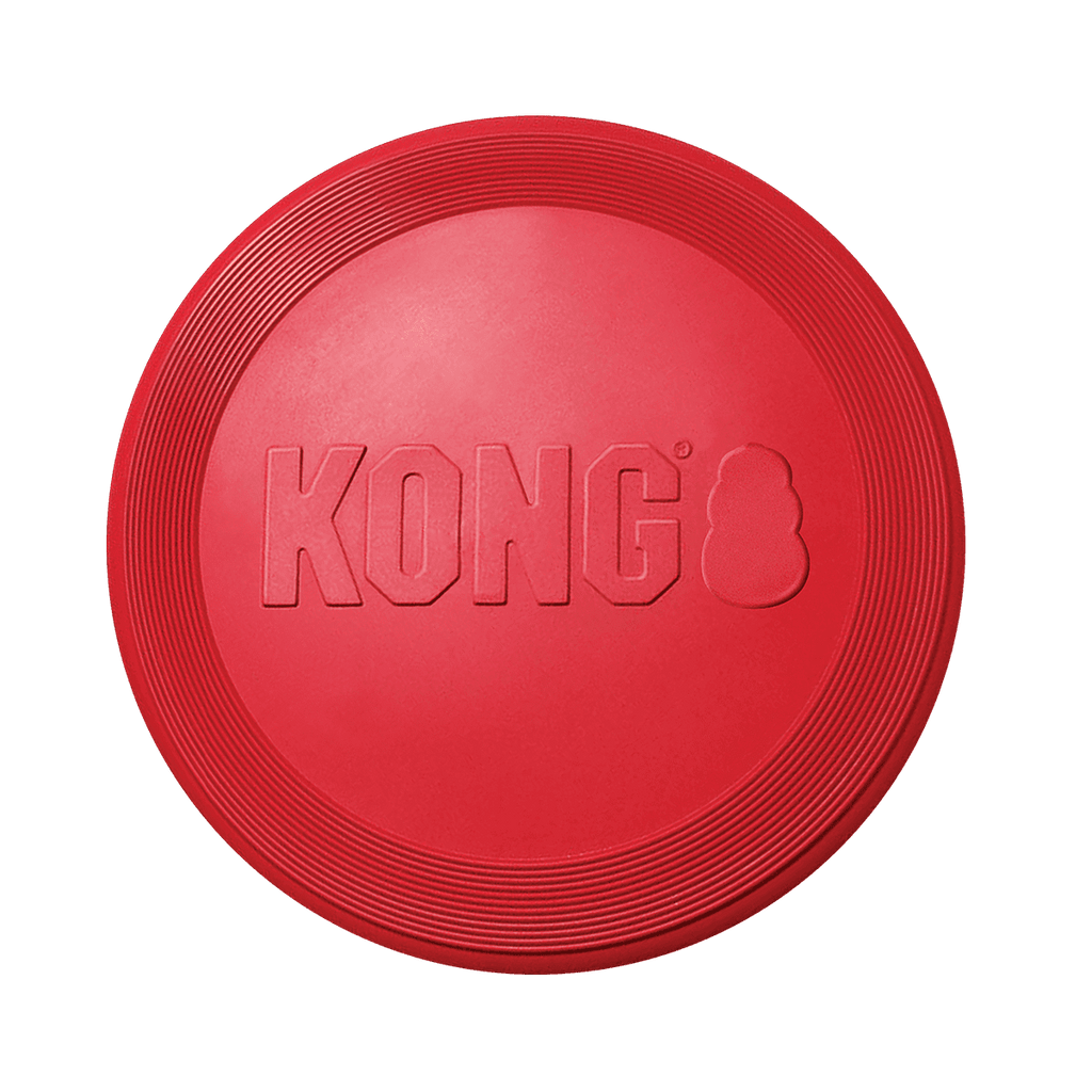 KONG Frisbee Flyer-Large - Sparklet