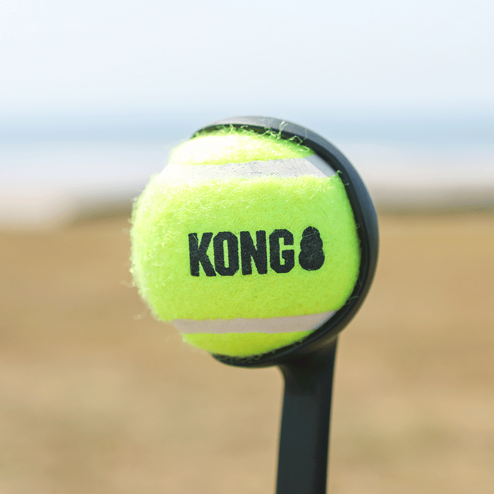 KONG Handipod Launch Dog Toy - Sparklet