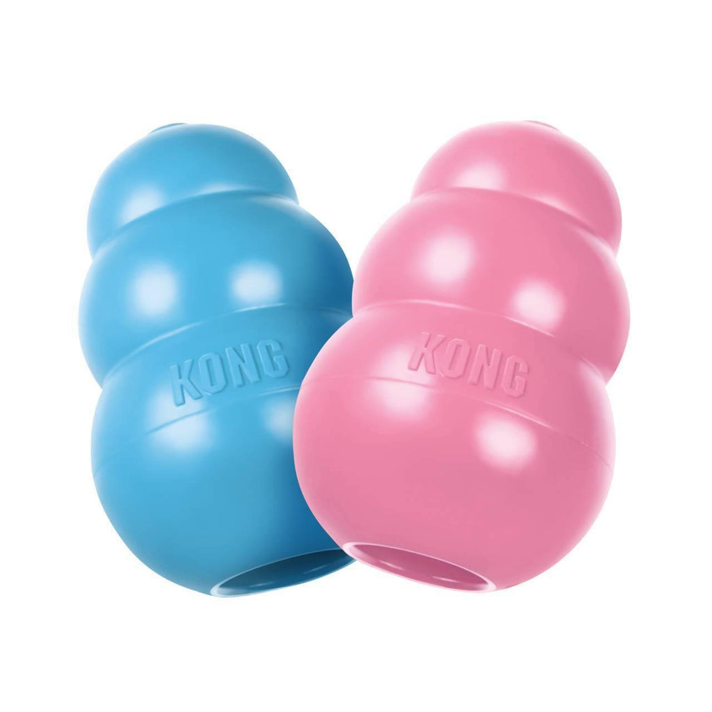 KONG Puppy Large (1pc Pink/Blue Random Colour) - Sparklet