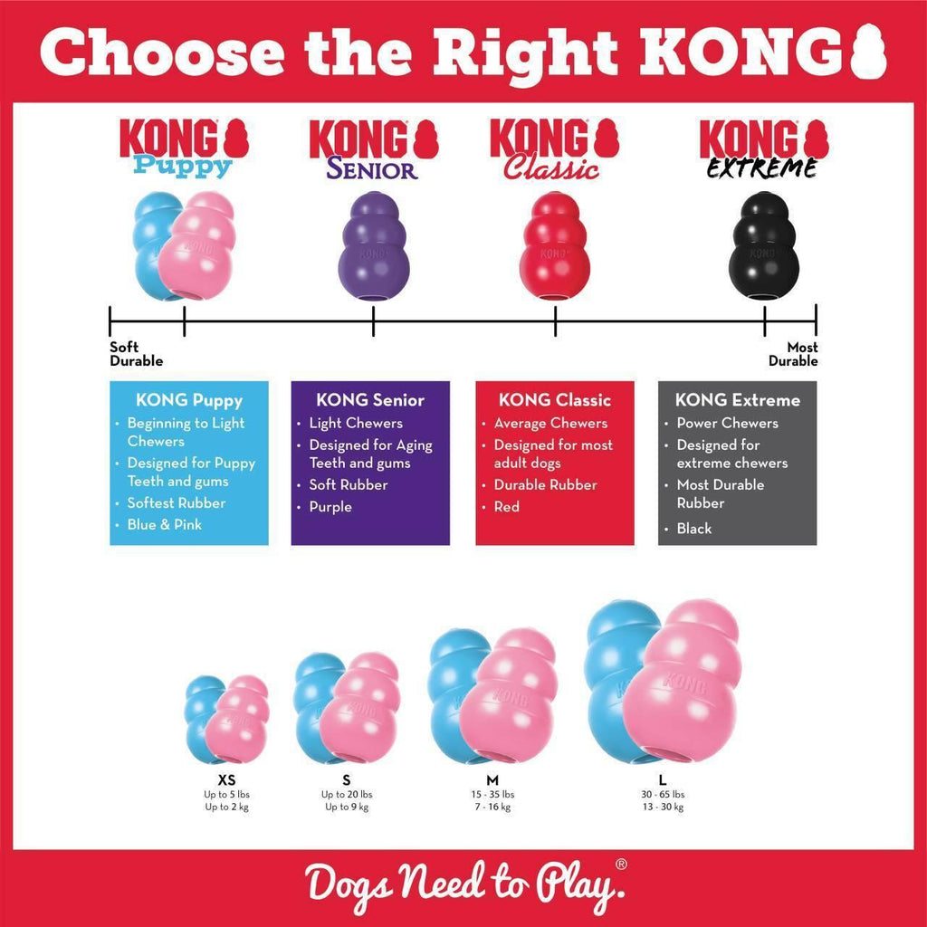 KONG Puppy Large (1pc Pink/Blue Random Colour) - Sparklet