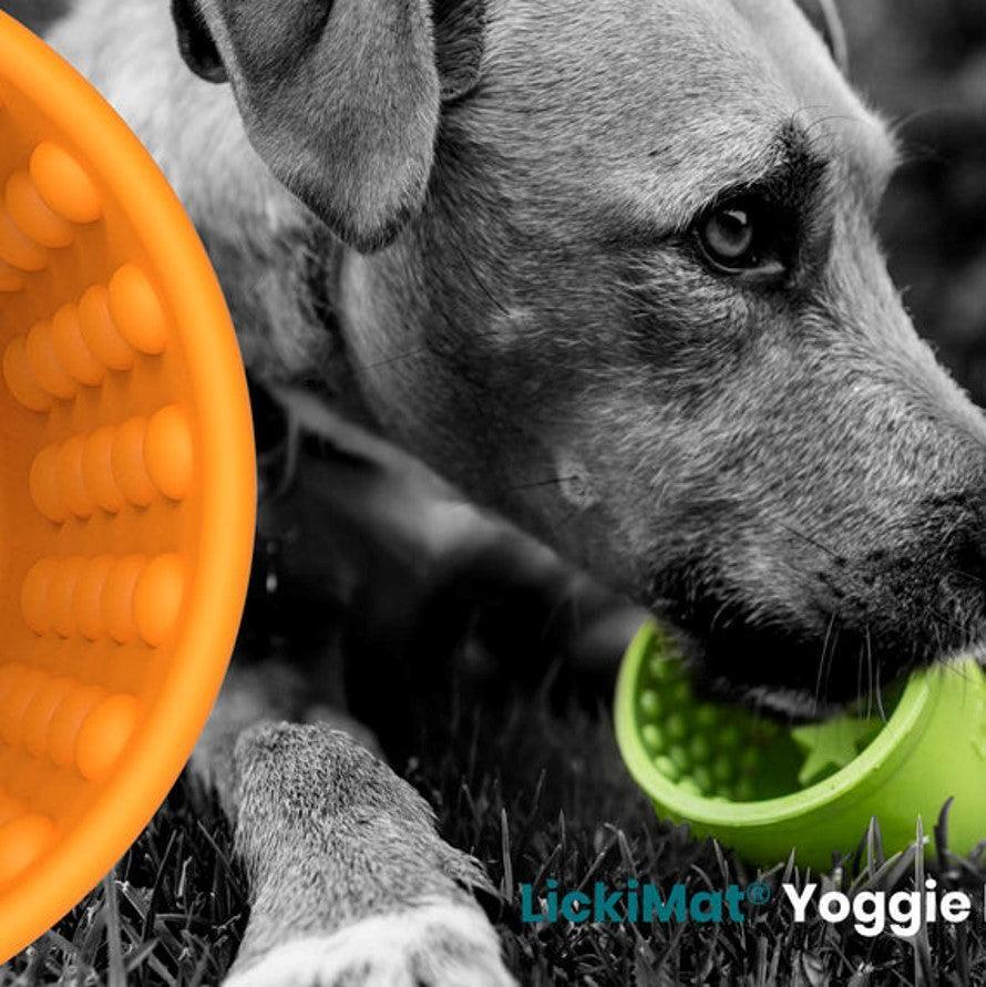 LICKIMAT Yoggie Pot Slow Feeder Dog Bowl - Green - Sparklet