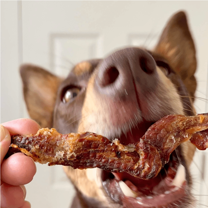 LULU'S KITCHEN Dog Treats Crocodile Jerky 100G - Sparklet