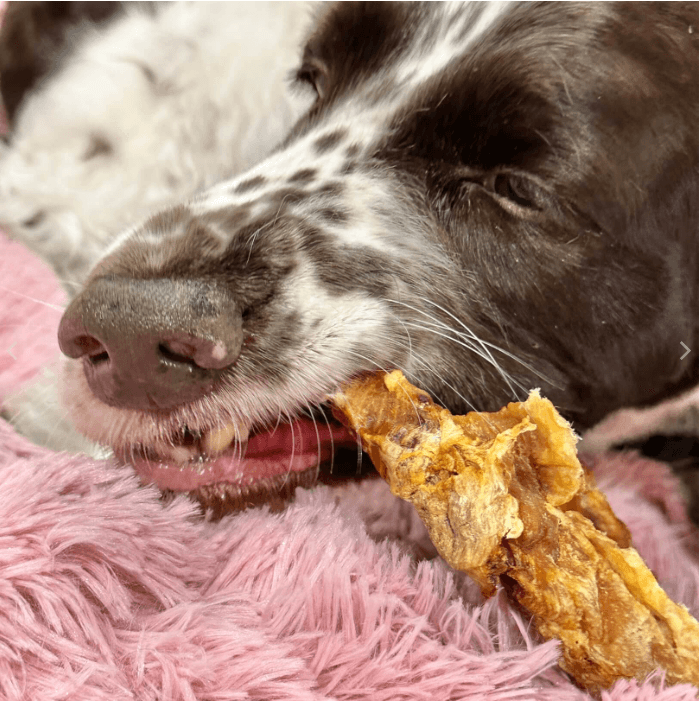 LULU'S KITCHEN Dog Treats Crocodile Ribs 200G - Sparklet