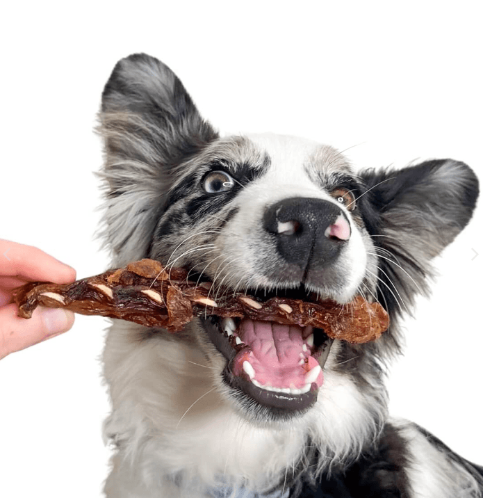 LULU'S KITCHEN Dog Treats Crocodile Ribs 200G - Sparklet