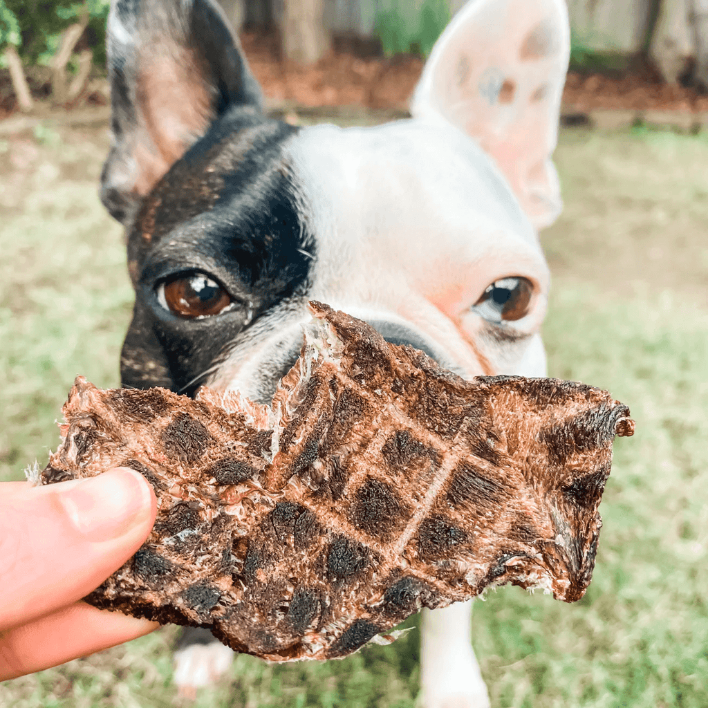 LULU'S KITCHEN Dog Treats Go Bonkers - Venison Jerky 100G - Sparklet