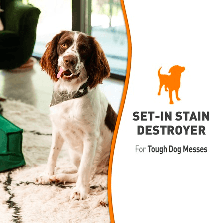 NATURE'S MIRACLE Set-In Stain Destroyer for Dogs 709ml - Sparklet