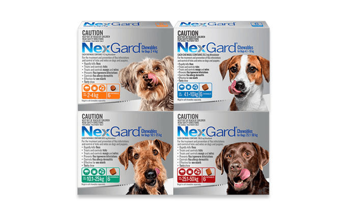 NEXGARD Flea Ticks Treatment Chewables for Dogs - Sparklet