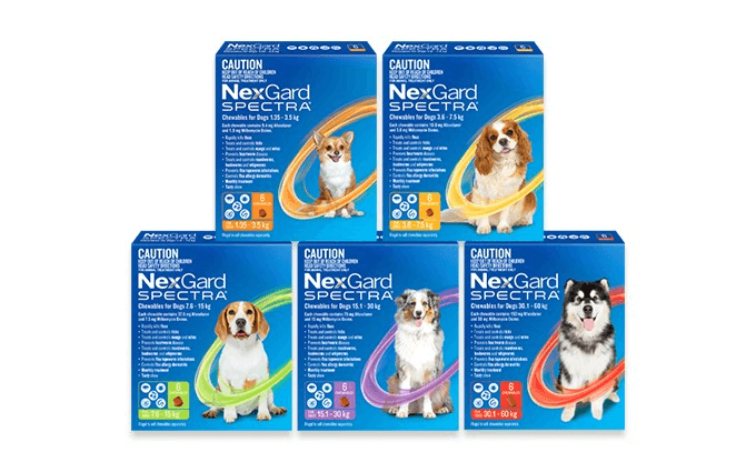 NEXGARD Spectra Chewabes for Dogs - Sparklet