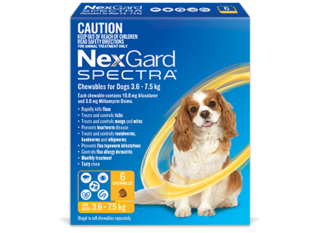 NEXGARD Spectra Chewabes for Dogs - Sparklet