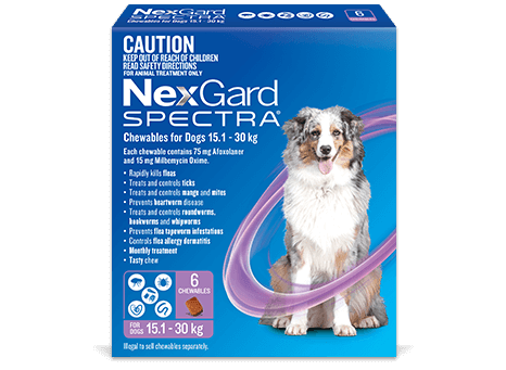 NEXGARD Spectra Chewabes for Dogs - Sparklet