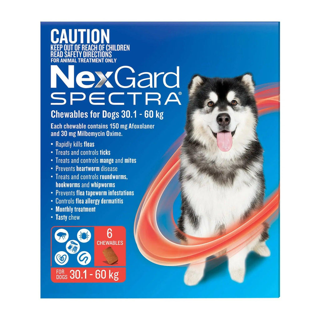 NEXGARD Spectra Chewabes for Dogs - Sparklet