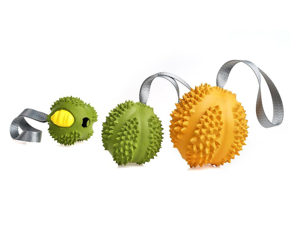 PETOPIA Ultra Tough Dog Chewing Toy - Durable Durian (Assorted Colour) - Sparklet