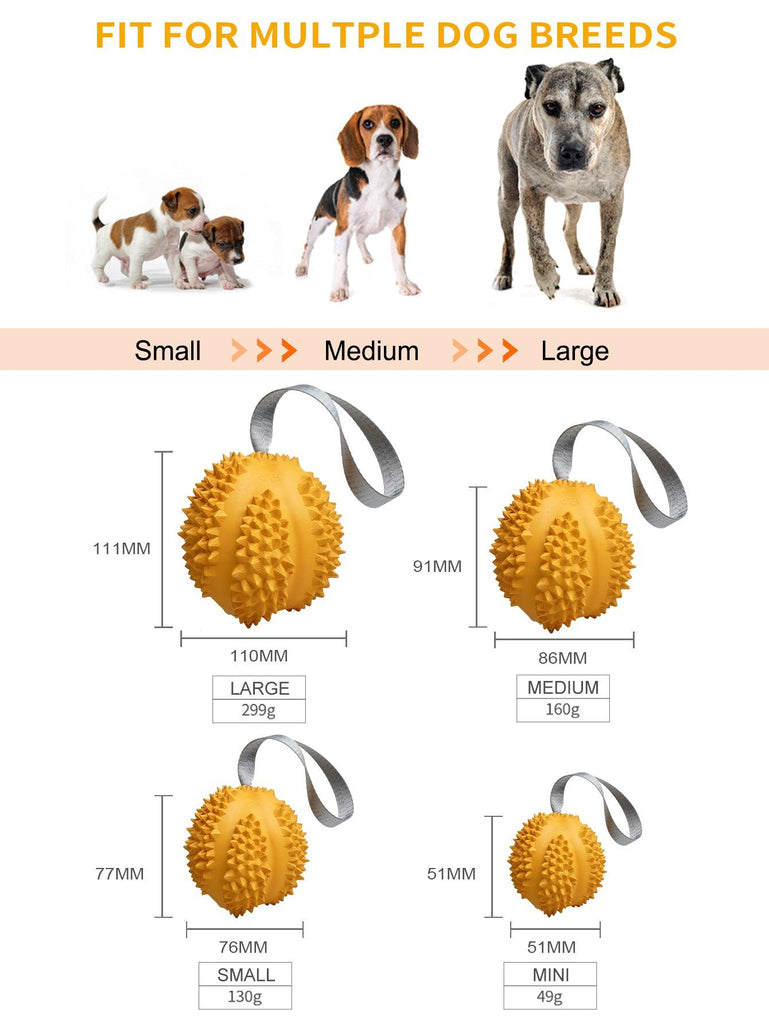 PETOPIA Ultra Tough Dog Chewing Toy - Durable Durian (Assorted Colour) - Sparklet