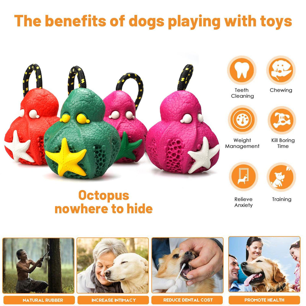 PETOPIA Ultra Tough Dog Chewing Toy - Reef Octopus (Assorted Colour) - Sparklet