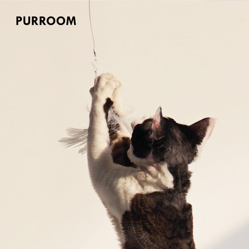 PURROOM Retractable Cat Teaser Up To 96cm - Sparklet