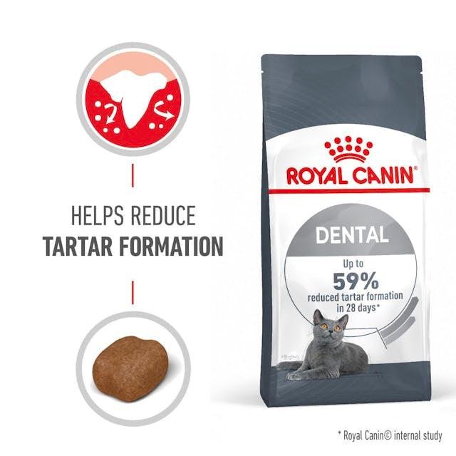 ROYAL CANIN Cat Dental Care 8KG - Sparklet