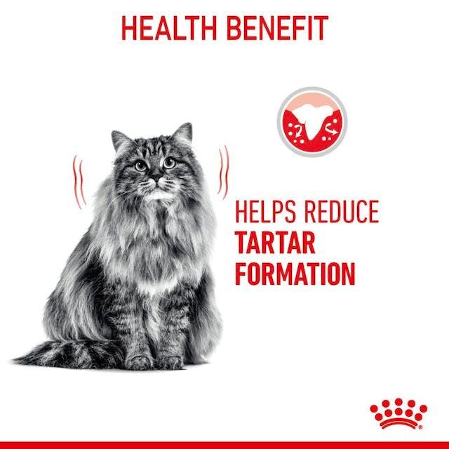 ROYAL CANIN Cat Dental Care 8KG - Sparklet