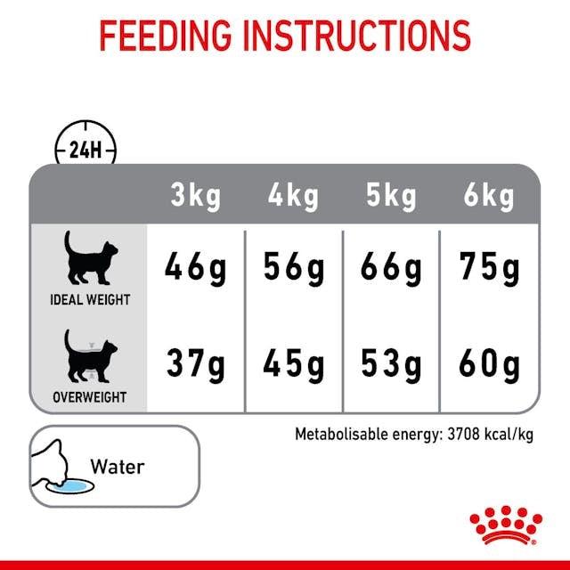 ROYAL CANIN Cat Dental Care 8KG - Sparklet