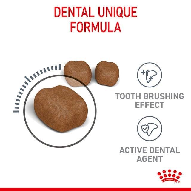 ROYAL CANIN Cat Dental Care 8KG - Sparklet