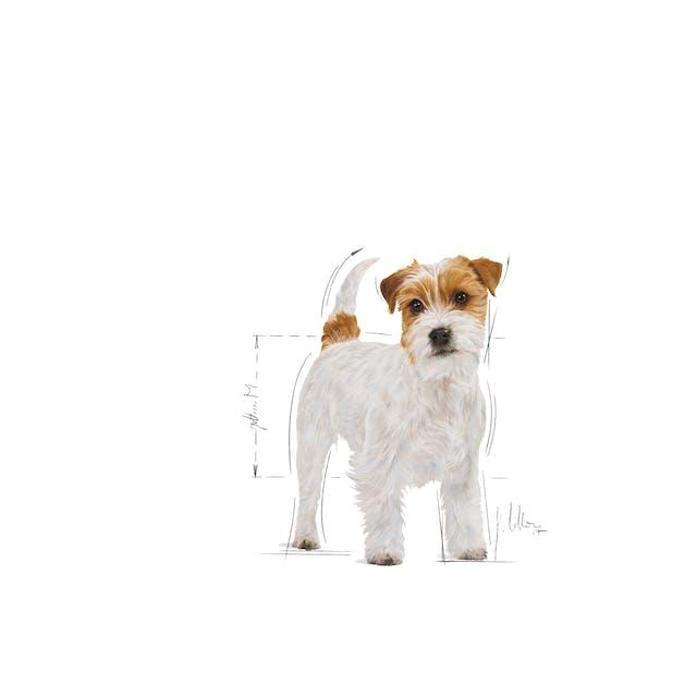 ROYAL CANIN Jack Russell Terrier Adult 7.5KG - Sparklet