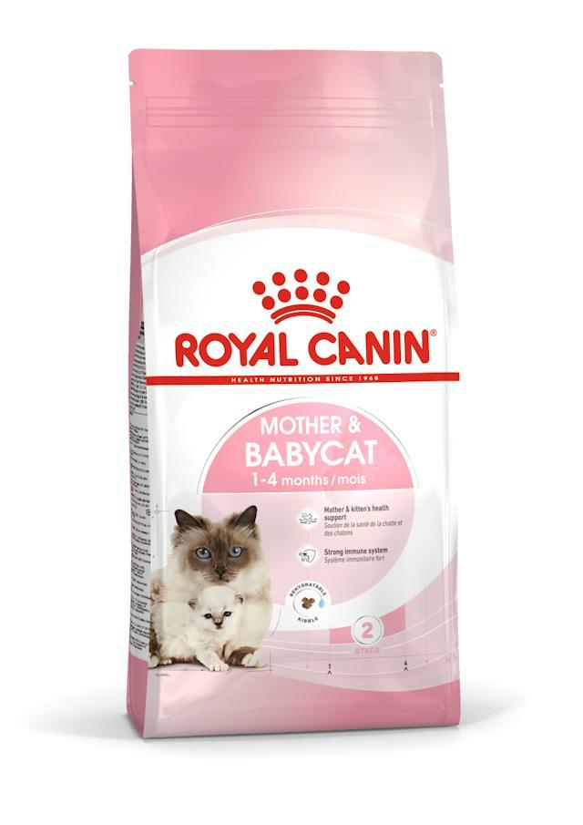 ROYAL CANIN Mother & Babycat (1-4 months) 10KG - Sparklet