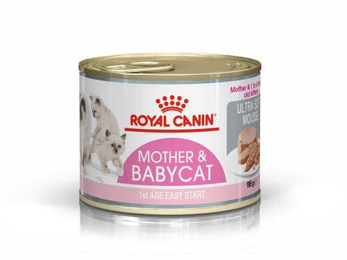 Royal Canin Wet Cat Food Mother and Babycat Ultra Soft Mousse 195G/195GX12 - Sparklet