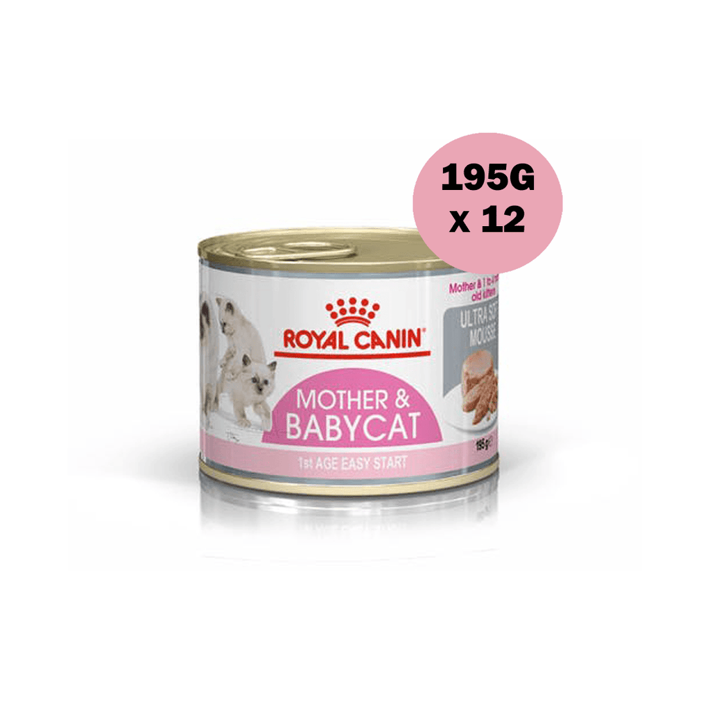 Royal Canin Wet Cat Food Mother and Babycat Ultra Soft Mousse 195G/195GX12 - Sparklet