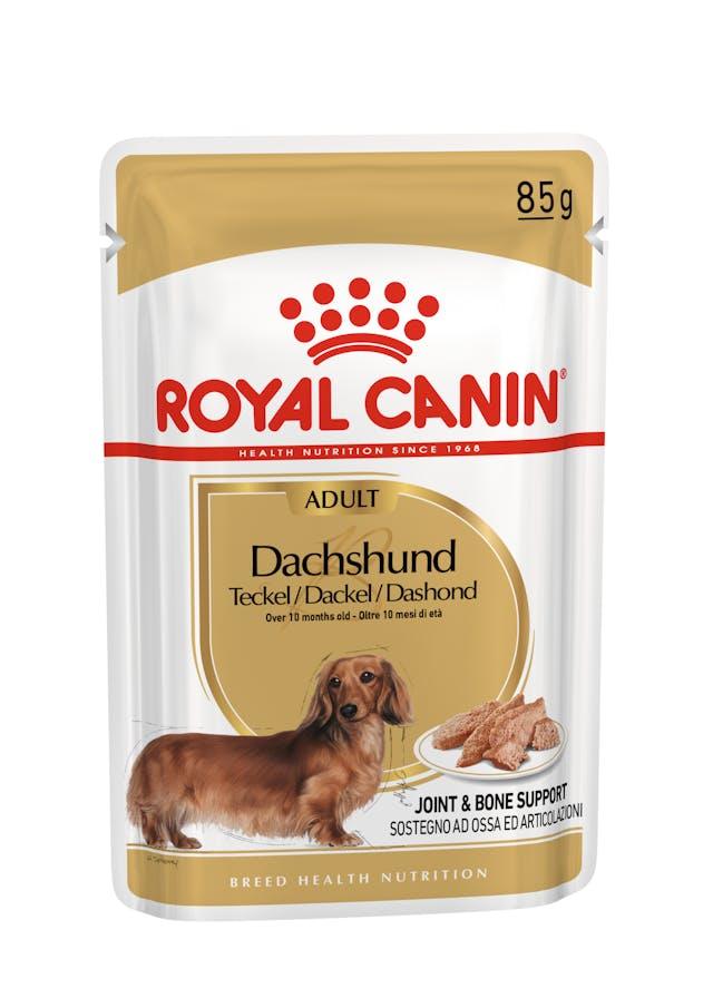 ROYAL CANIN Wet Dog Food Adult Dachshund 12X85G - Sparklet