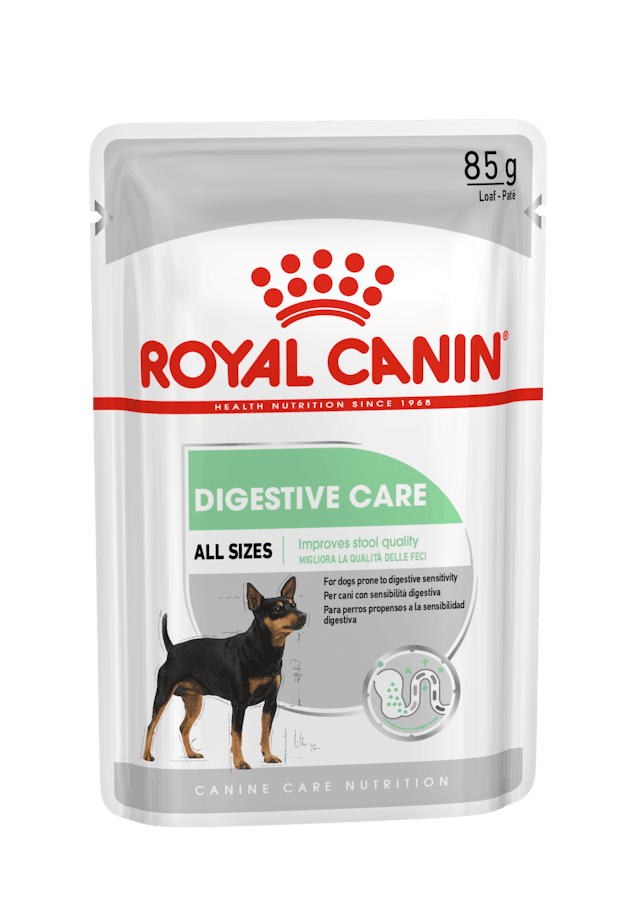 ROYAL CANIN Wet Dog Food Adult Digestive Care Loaf 12X85G - Sparklet