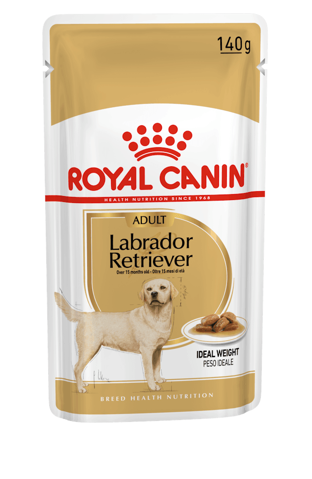 ROYAL CANIN Wet Dog Food Adult Labrador Gravy 10X140G - Sparklet