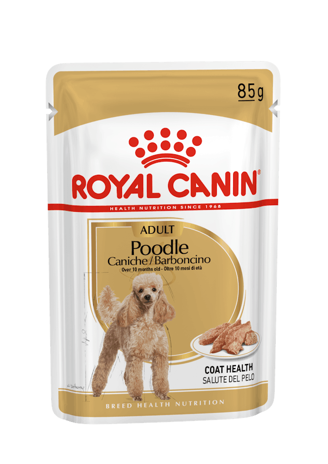 ROYAL CANIN Wet Dog Food Adult Poodle 12X85G - Sparklet