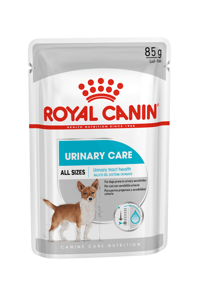 ROYAL CANIN Wet Dog Food Adult Urinary Care Loaf 12X85G - Sparklet