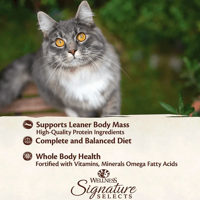 WELLNESS Core Signature Selects Wet Cat Food Chicken & Liver 79GX12 - Sparklet